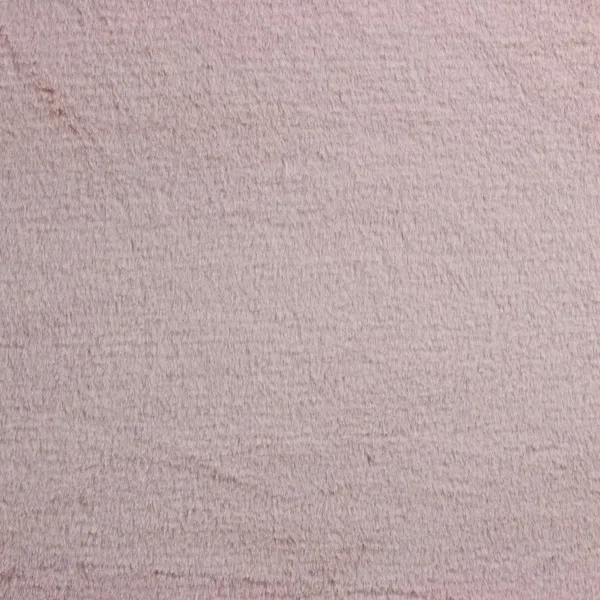 DSCF5667